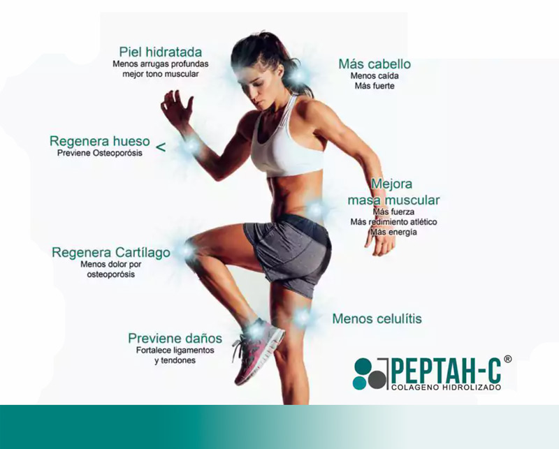 infografia-peptahC--dcosan